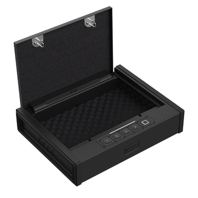 RPNB Biometric RP2005 Pistol Safe Armadillo Safe and Vault