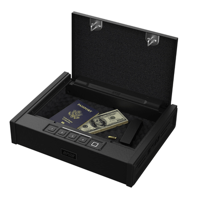 RPNB Biometric RP2005 Pistol Safe Armadillo Safe and Vault