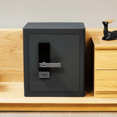 RPNB Biometric RPHS45 Home Safe Armadillo Safe and Vault