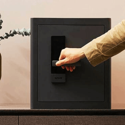 RPNB Biometric RPHS45 Home Safe Armadillo Safe and Vault