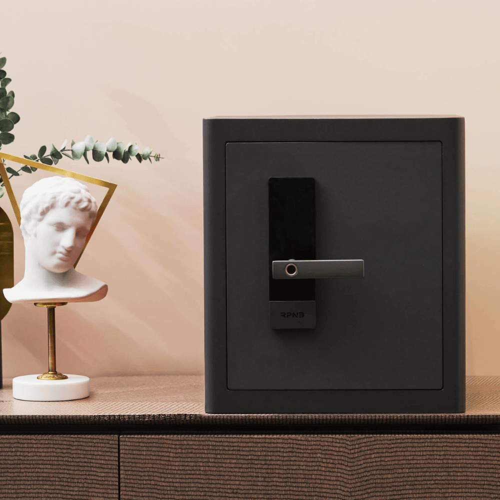 RPNB Biometric RPHS45 Home Safe Armadillo Safe and Vault