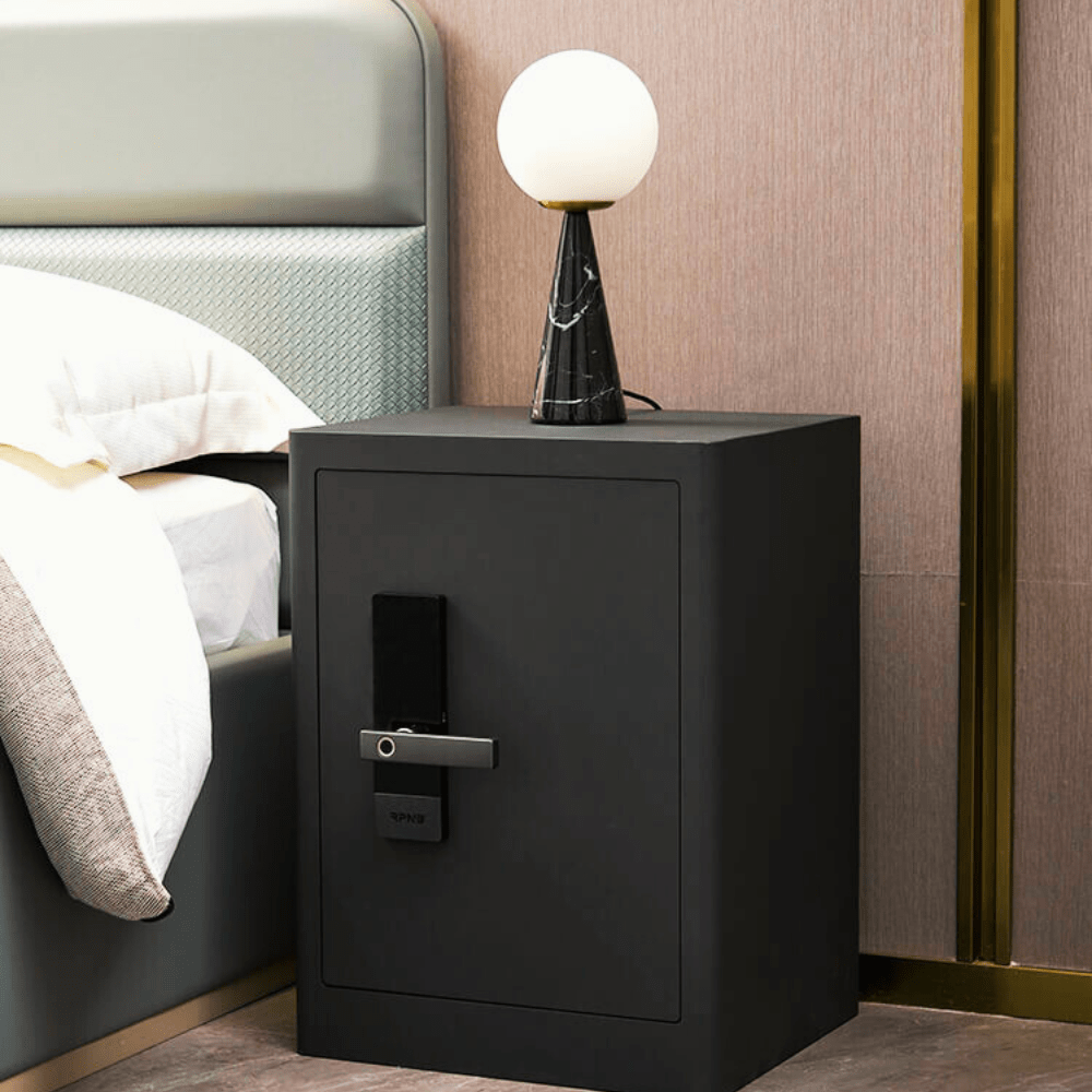 RPNB Biometric RPHS60 Home Safe Armadillo Safe and Vault