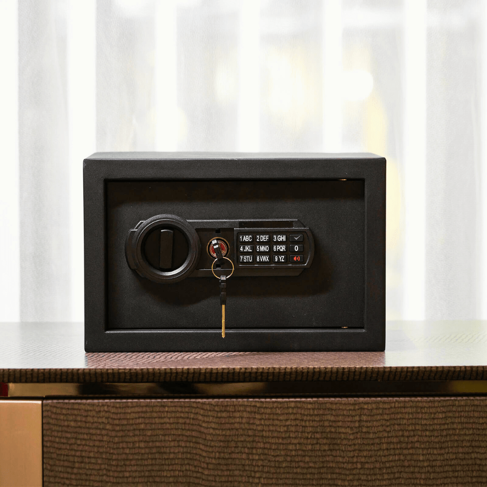 RPNB Electronic RP20ESA Home Safe Armadillo Safe and Vault