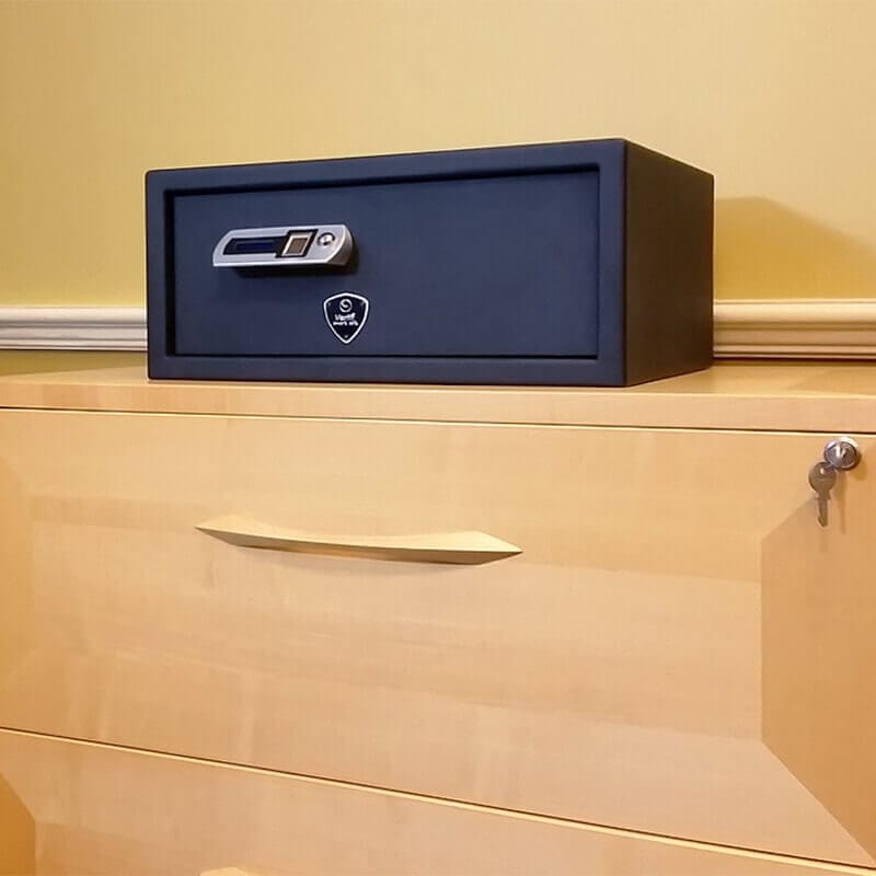 Verifi Smart Safe S6000 Biometric Gun Safe Armadillo Safe and Vault