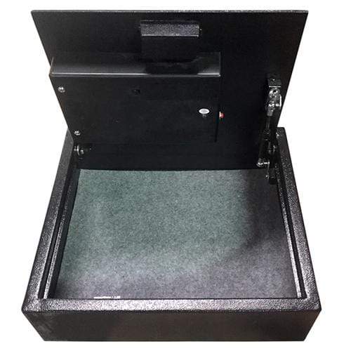 Hollon PB-BIO-2 Pistol Safe Armadillo Safe and Vault