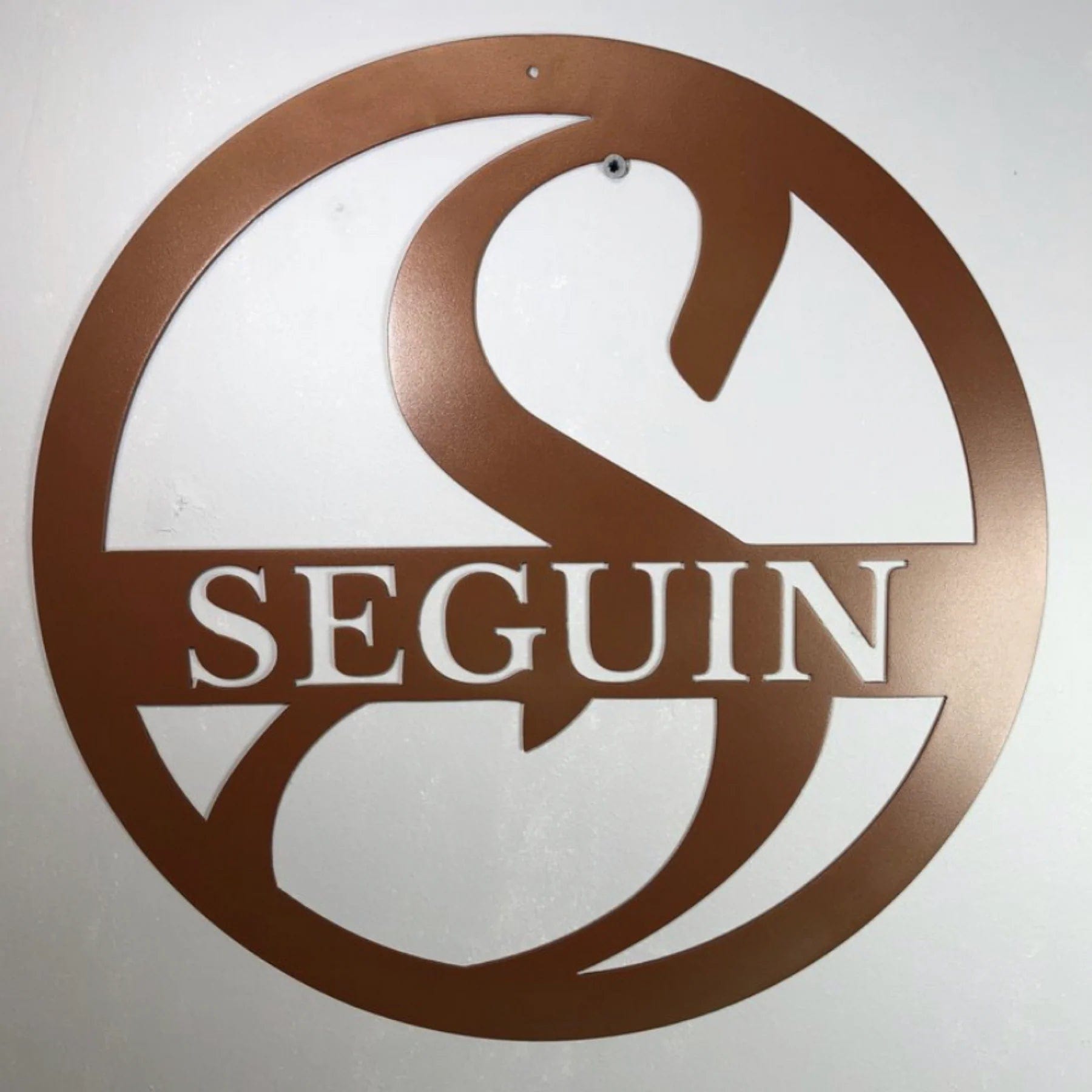Metal Art of Wisconsin Circle Powder Coated Monograms Armadillo Safe and Vault