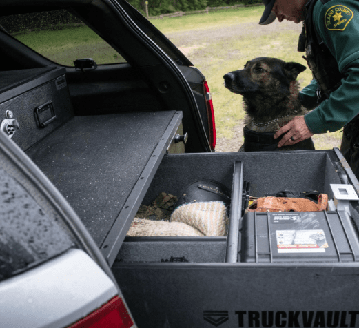 Truckvault Investigator Commander Line Armadillo Safe and Vault