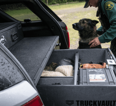 Truckvault Investigator Commander Line Armadillo Safe and Vault