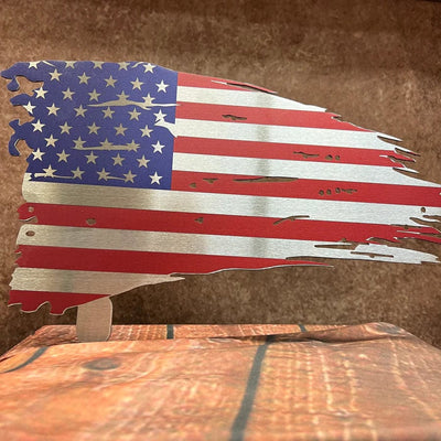 Metal Art of Wisconsin Easy Up Old Glory Armadillo Safe and Vault