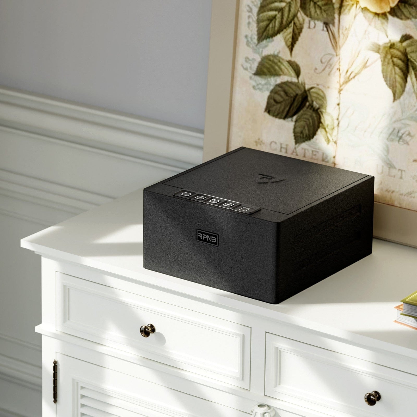 RPNB Biometric RP2016 Pistol Safe Armadillo Safe and Vault