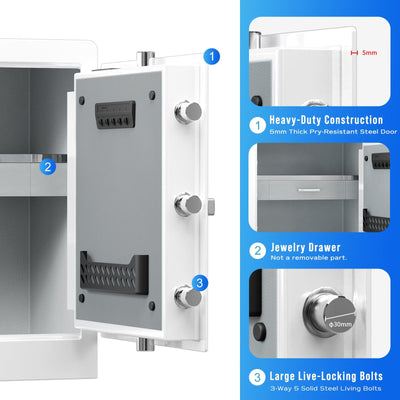 RPNB Biometric RPHS60W Home Safe Armadillo Safe and Vault