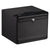 RPNB RP2009 Biometric Pistol Safe Armadillo Safe and Vault