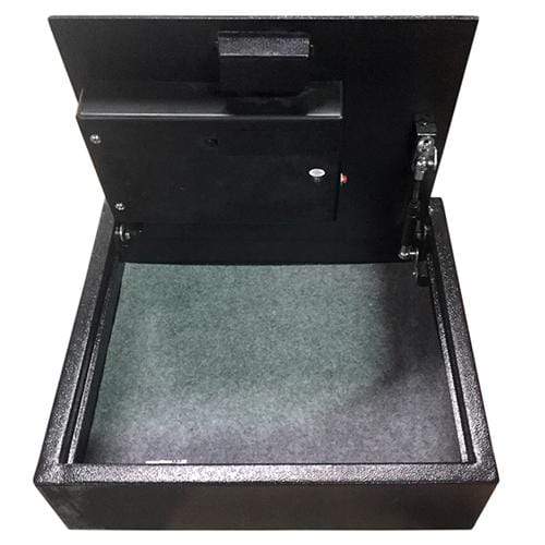 Hollon PB-BIO-2 Pistol Safe Armadillo Safe and Vault