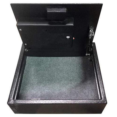 Hollon PB-BIO-2 Pistol Safe Armadillo Safe and Vault