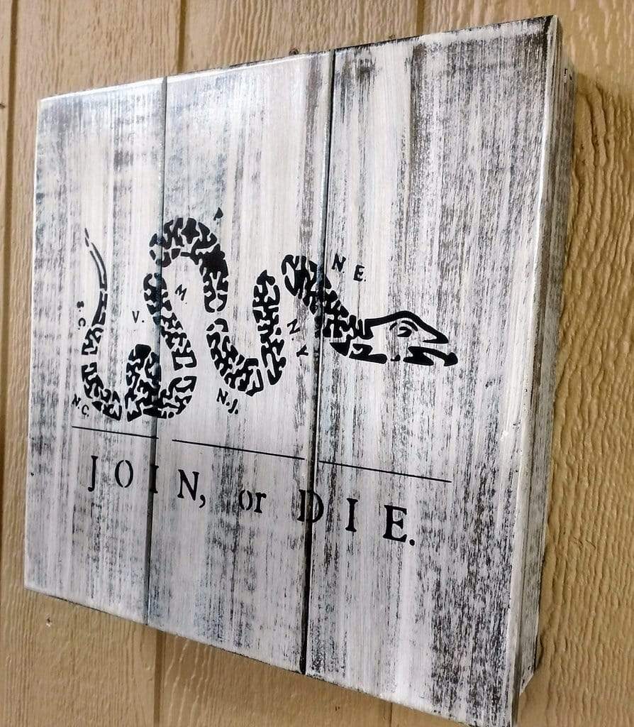 Liberty Home "Join Or Die" Wall Art Box Armadillo Safe and Vault