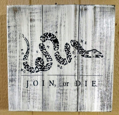 Liberty Home "Join Or Die" Wall Art Box Armadillo Safe and Vault