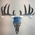 Metal Art of Wisconsin Patriotic Buck Skull Armadillo Safe and Vault
