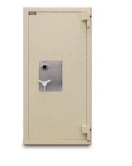 Mesa MTLE6528 TL-15 Fire Rated Composite Safe Armadillo Safe and Vault