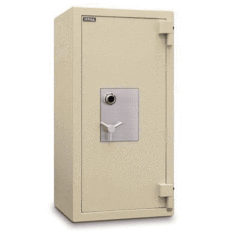 Mesa MTLF5524 TL-30 Burglary and Fire Safe Armadillo Safe and Vault