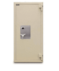 Mesa MTLF6528 TL-30 Burglary and Fire Safe Armadillo Safe and Vault