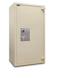 Mesa MTLF7236 TL-30 Burglary and Fire Safe Armadillo Safe and Vault